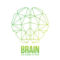 BRAIN BRIDGE